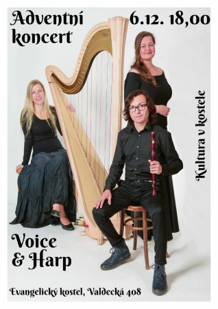 Koncert tria VOICE AND HARP 6.12. v Hořovicích